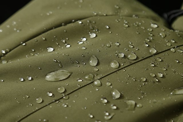 d5a38bca45e2ad80ca5912bdf008a767_1701166668_0867.jpg