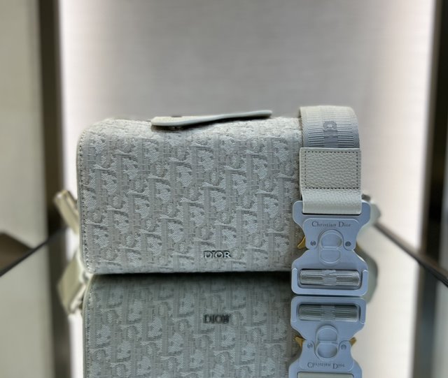 디올 링고 LINGOT 22 백 1ADPO249YKY