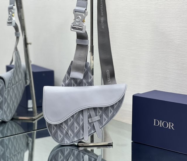 디올 새들 SADDLE 백 1ADPO093CDP