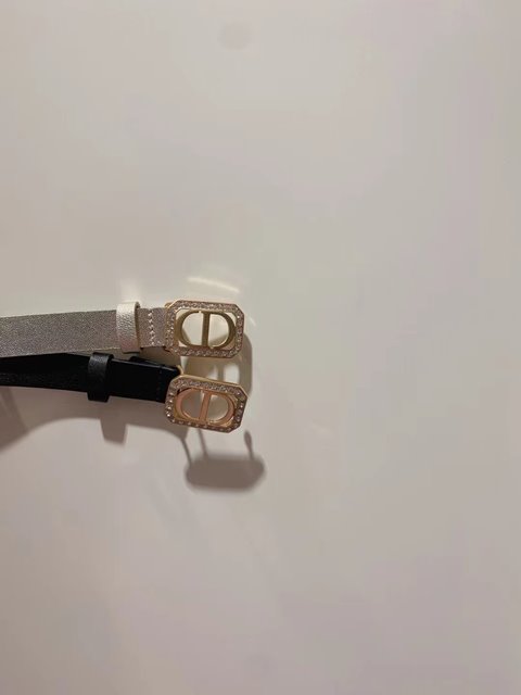 디올 30 몽테인 MONTAIGNE 벨트 15mm 2칼라