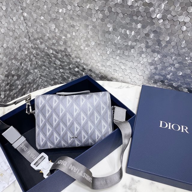 디올 링고 DIOR LINGOT 파우치 1ADPO026CDP