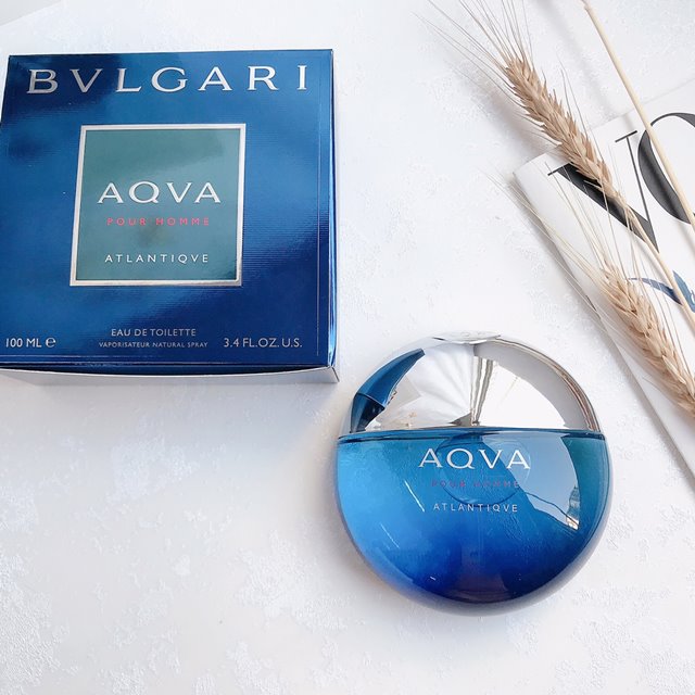 불가리 AQVA Pour Homme EDT 남성 향수 100ml
