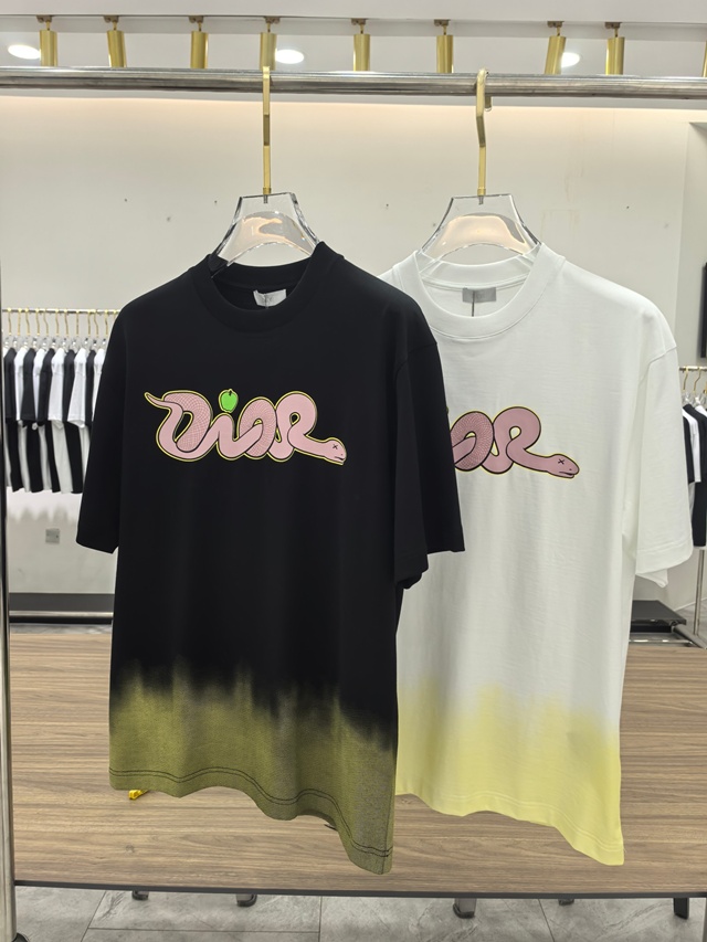디올 남성 반팔 티셔츠 2칼라