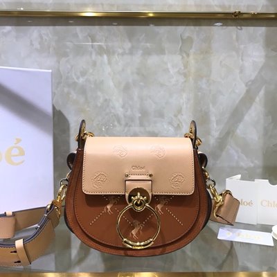 끌로에 TESS 스몰 백