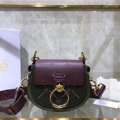 끌로에 TESS 스몰 백