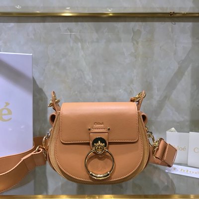 끌로에 TESS 스몰 백 베이지
