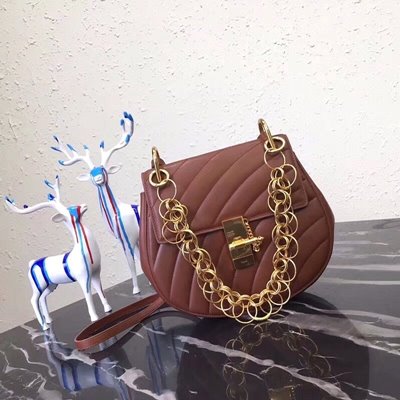 끌로에 드류 비쥬 숄더백 미니