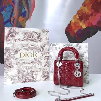 디올 송아지 가죽 LADY DIOR 미니 백 레드/실버