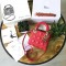 디올 오리지널 램스킨 미니 lady dior bag 44500