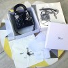 디올 오리지널 카프스킨 미니 lady dior bag 44500