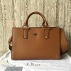 디올 CD BEE TOTE BAG IN CALFSKIN 2017 BLACK
