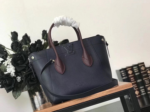 루이비통 M54842 프리덤 Other leathers 