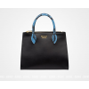 프라다 PRADA PARADIGME BAG  1BA102