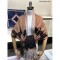 발렌티노 스카프