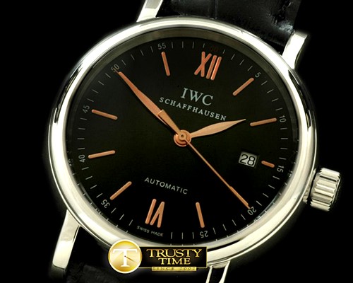 IWC Portofino Automatic SS/LE Black Asia 2892 -IWC0149B