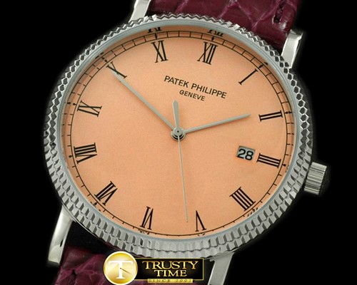 파텍필립 3919 Calatrava SS/LE Salmon Roman Quartz -PP0141C
