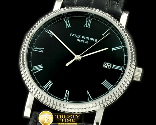 파텍필립 3919 Calatrava SS/LE Black Roman Quartz -PP0141D