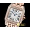 까르띠에 Santos Demoiselle Mens Diams RG/RG Wht Swiss Quartz -CAR0385F