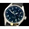 IWC Mark XVII SS/LE Black Asia 2892 -IWC0231