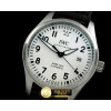 IWC Mark XVIII Wht SS/LE A2892 -IWC0279