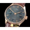 IWC Portugese 5007 RG/LE Grey A52010 -IWC0289C