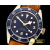 튜더 Heritage Black Bay Bronzo Basel 2017 Bucherer XF A2824 -TUD046