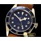튜더 Heritage Black Bay Bronzo 2017 Bucherer XF V3 A2824 -TUD062B